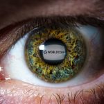 Eightco Stock Jumps 3000% on Worldcoin Treasury Strategy, BitMine Investment