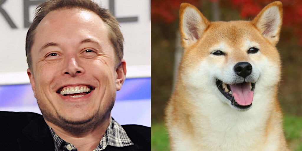 Elon Musk and Dogecoin: How the Billionaire Became the ‘Dogefather’