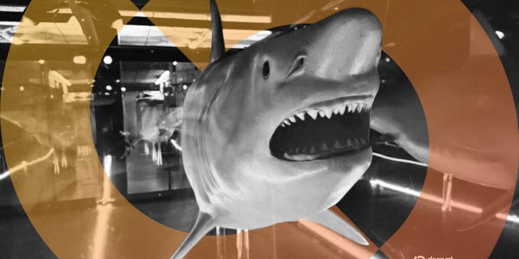 No Bull? Bitcoin Recognized as 'Apex Predator of Money' With Shark Statue