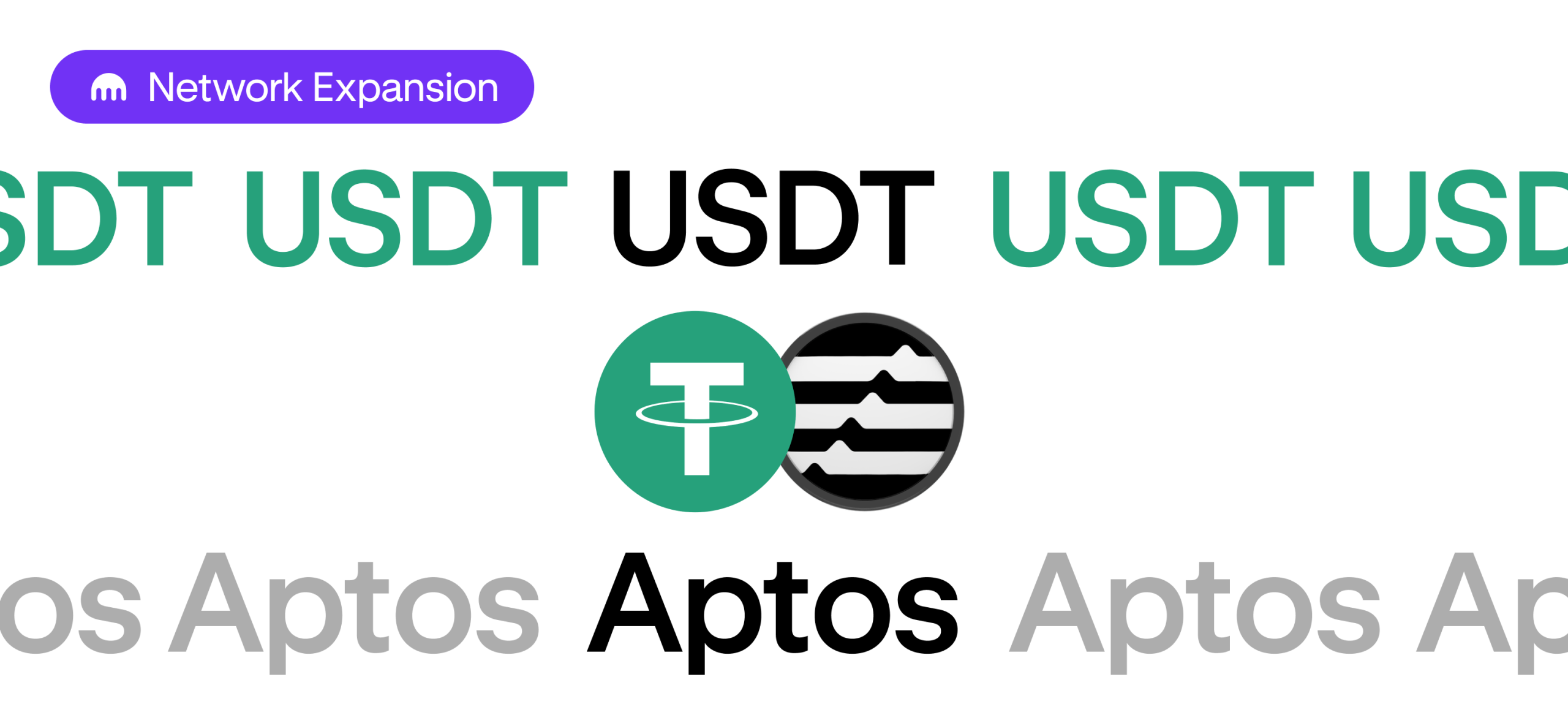 USDT deposits and withdrawals now available on Aptos!